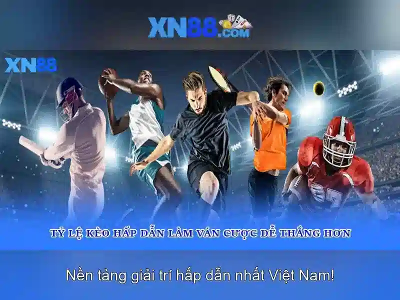 Nền tảng và tính năng