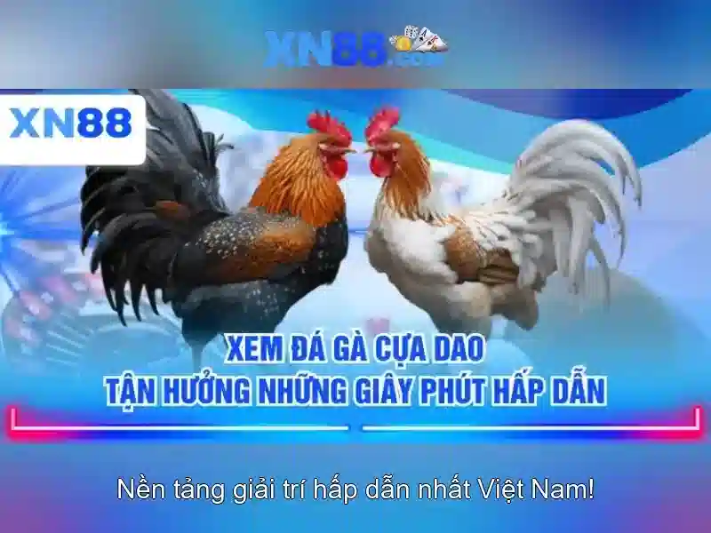 An toan va thanh toan