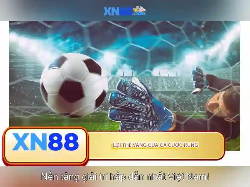 Xn88: Nền tảng giải trí trực tuyến và an toàn