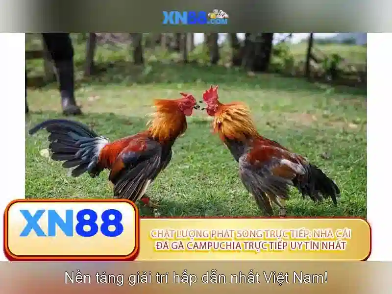 xn88: Đánh giá tổng quan về nền tảng chơi trực tuyến