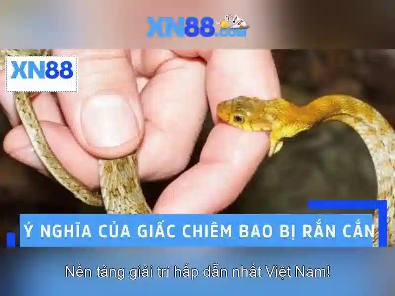 xn88 có lừa đảo không – Tổng quan chủ đề và giá trị cốt lõi