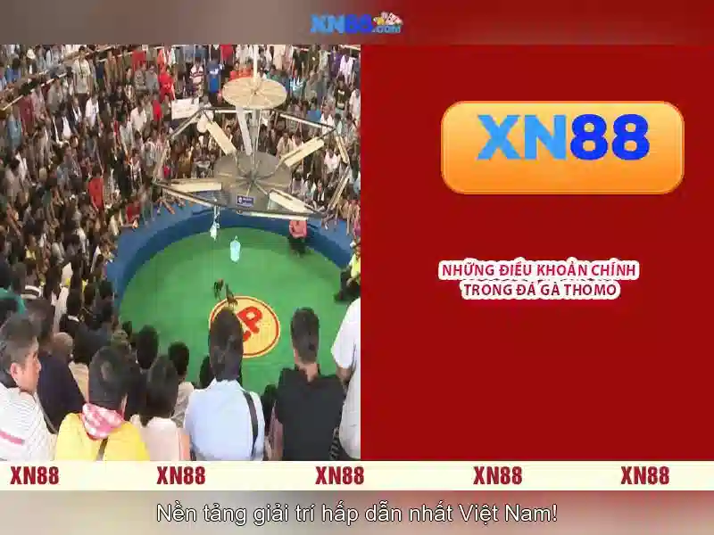 Đánh giá và tương lai