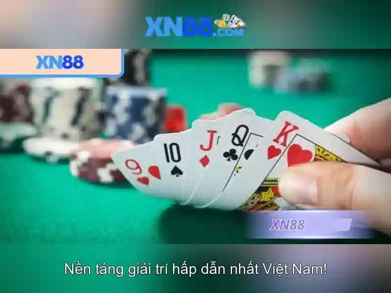 Giới thiệu về Xn88\n\n