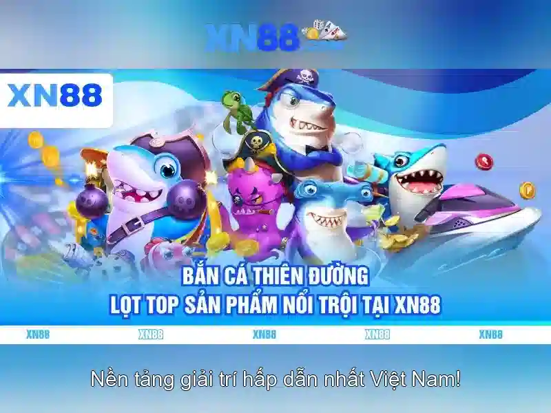 An toàn và hỗ trợ người chơi