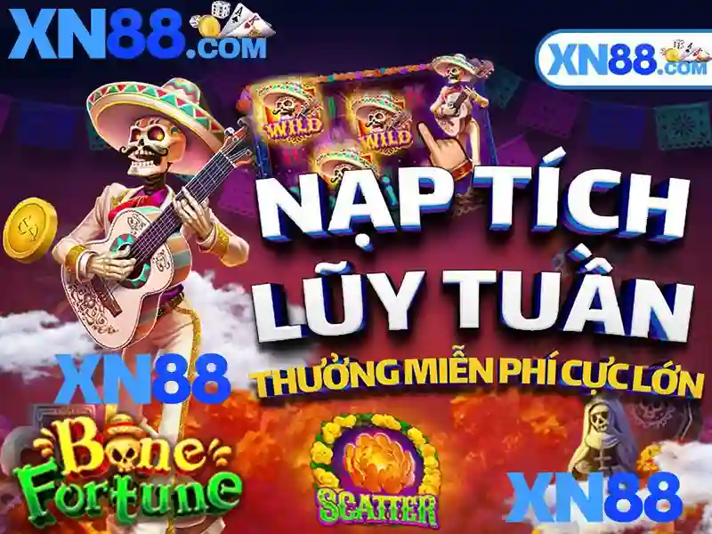 Hiệu suất và trải nghiệm người dùng