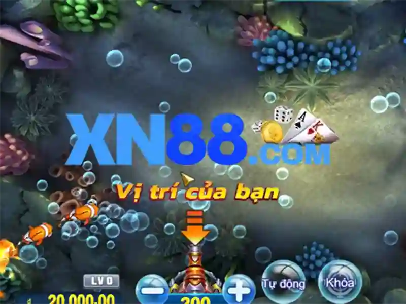 Khuyến mãi và chương trình thưởng