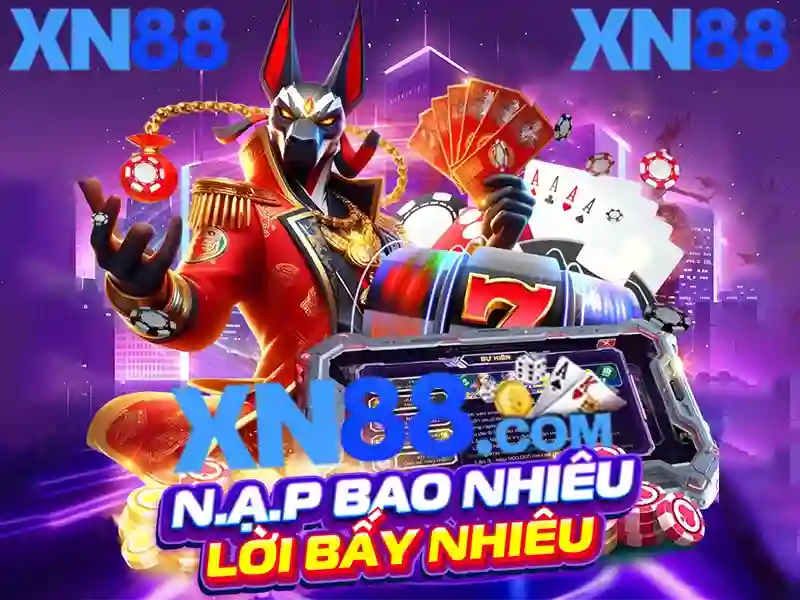 Kết luận